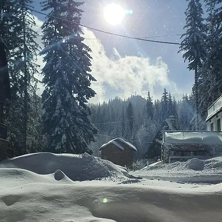 In Jahorina